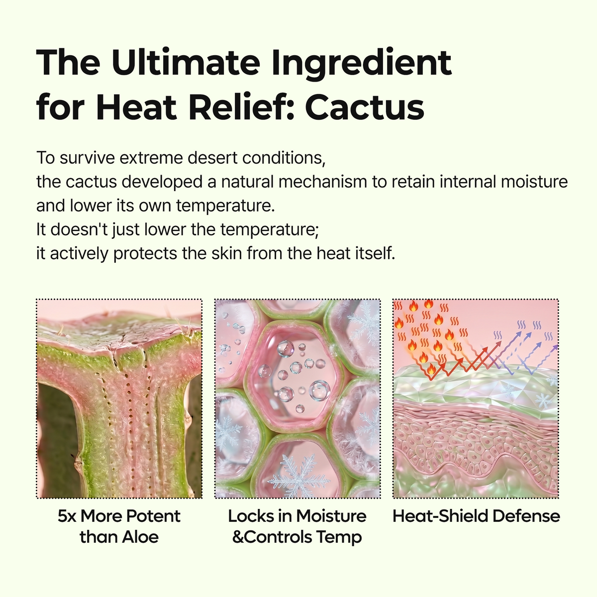 Cactox Pore Relief Multi Balm - image 6